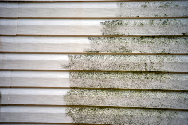 Best Siding Painting and Refinishing  in Bunkie, LA