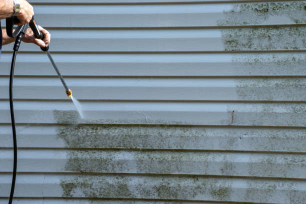 Trusted Bunkie, LA Siding Installation & Repair Experts