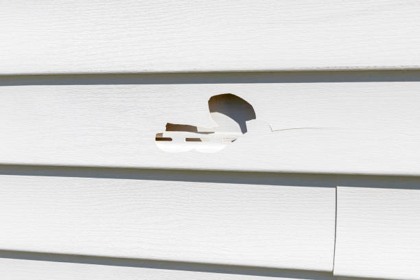 Best Residential Vinyl Siding Installation  in Bunkie, LA